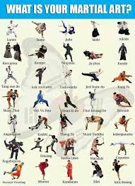 Image result for Full Element Mixed Martial Arts