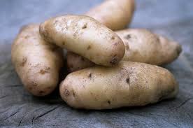 Attēlu rezultāti vaicājumam “Solanum tuberosum”