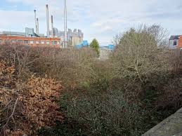 Image result for Monk Bretton Cc