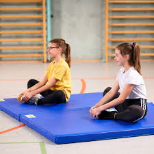 Image result for Crossways Gymnastics Club