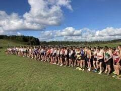 Image result for Llanelli Athletic Club