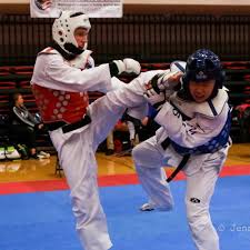 Image result for Ndm Martial Arts