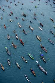 Image result for Flushing & Mylor Pilot Gig Club