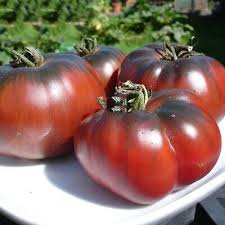 Afbeeldingsresultaat voor black sea man tomato
