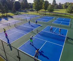 Image result for Thornbury Pickleball Club