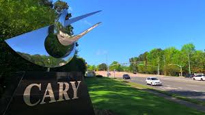 Image result for Castle Cary Cc