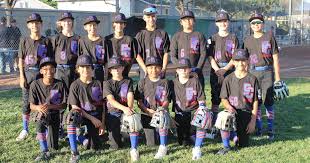 Image result for Little Common Community Sports Club