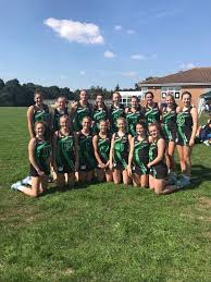 Image result for Cd Phoenix Netball Club