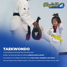 Image result for Parkgate Taekwondo Club