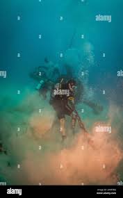 Image result for Exe To Sea Diving