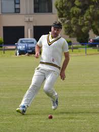 Image result for Torquay Cricket Club