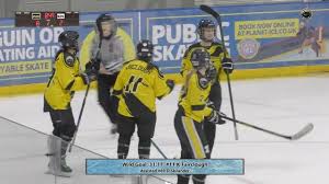 Image result for Widnes Ladies Hockey Club