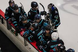 Image result for Ash Avalanche Skater Hockey Club