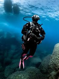 Image result for Great Western Divers