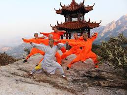 Image result for kung fu