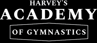 Image result for Central Manchester Institute Of Gymnastics