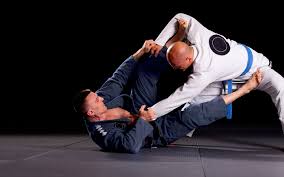 Image result for A BRITISH JUJITSU RYU in Lancing
