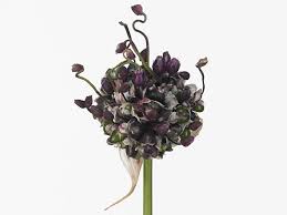 Attēlu rezultāti vaicājumam “Allium scorodoprasum flower”