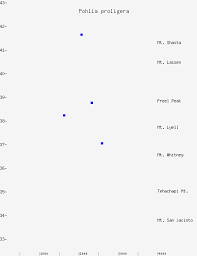 Attēlu rezultāti vaicājumam “Pohlia proligera”