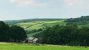 Image result for omagh harriers