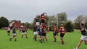 Image result for Widden Old Boys Rfc