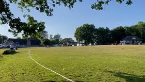 Image result for Bolney Cricket Club