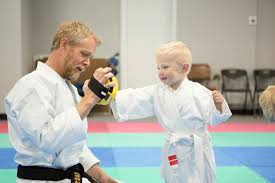 Image result for Karate Wado Kai