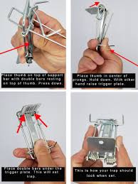 Image result for gepetto tehron