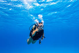 Image result for SwimSwansea