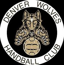 Image result for Deva Handball Club