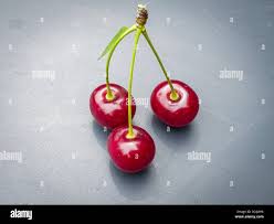 Attēlu rezultāti vaicājumam “Cerasus fruit”