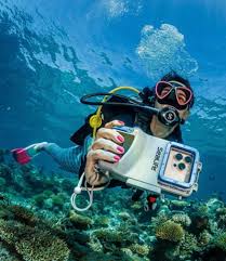 Image result for Plymouth Aquanauts