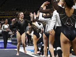 Image result for L&G Acrobatics