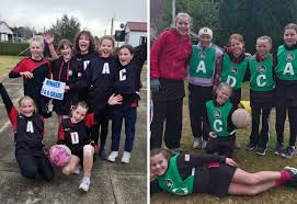 Image result for Dominos Netball Club