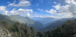 Image result for Clyde Valley Predators