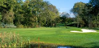 Image result for Fox Gc