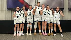 Image result for Hinckley & Bosworth Lady Hoops Basketball Club