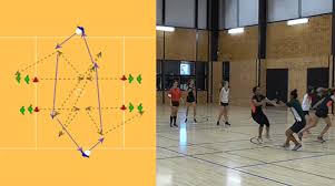 Image result for Shelley Netball Club