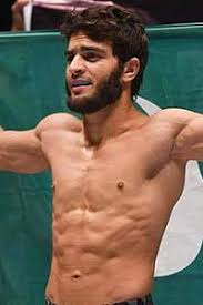 Image result for Wolverine MMA