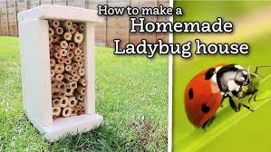 Image result for ladybug house