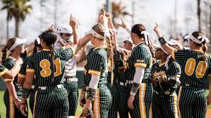 Image result for Lions Softball Club