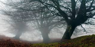 Image result for Garndiffaith