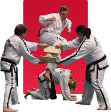 Image result for English International Allstyles Taekwon-Do