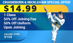 Image result for Mickleham Seiki Juku Karate Club