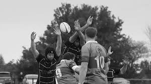Image result for Ipswich Rfc