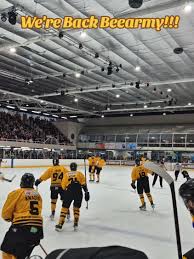 Image result for Bracknell Ice Skating Club