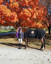 Image result for Annandale Equestrian Centre