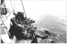 Image result for Falmouth Octopush Club