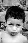 <b>Chagas Disease</b>