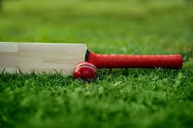 Image result for Pentyrch Cricket Club